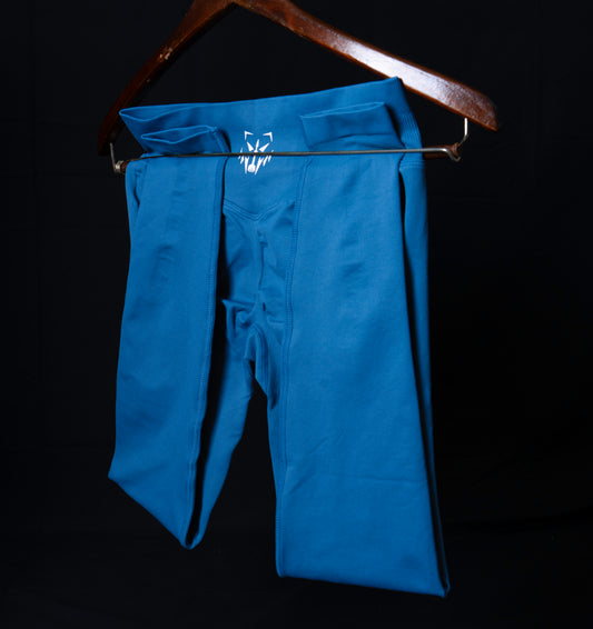 ALPHA Series Leggings