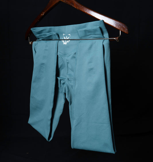 ALPHA Series Leggings