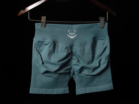ALPHA Series Shorts 4.5"